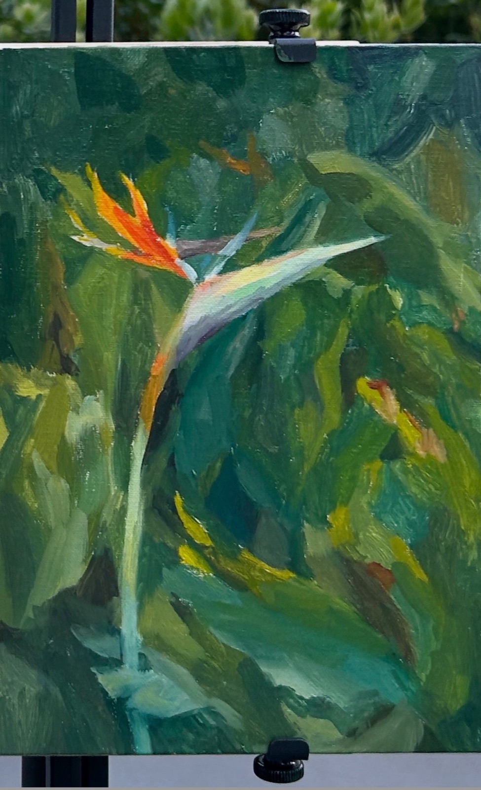 Oil study of a bird of paradise flower against dense green leaves