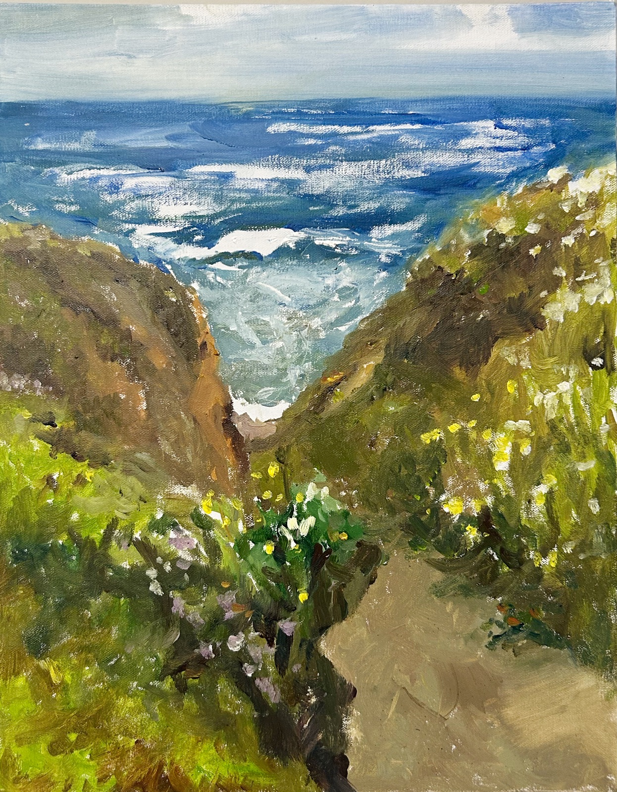 Plein air painting looking down a wildflower gully to the sea at Montara